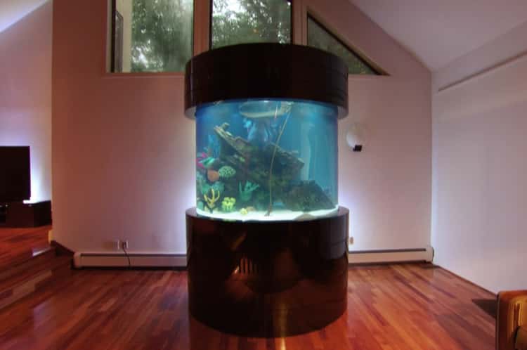 Fish Tank Headboard